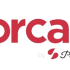 Borcam